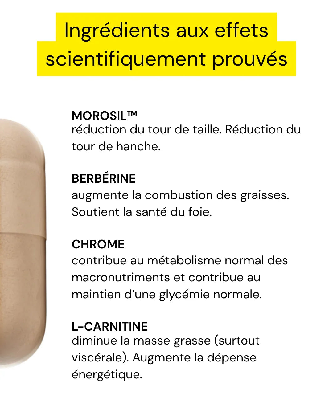 Complément glycémie et métabolisme